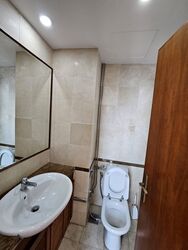 The Oxley (D9), Apartment #507767721